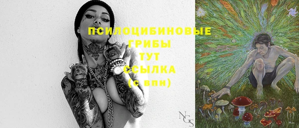 метадон Армянск